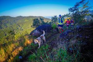 BIB: 
                            <button type="button" onclick="openModal(19061961)" class="btn btn-primary btn-sm float-right btn-popup" data-toggle="modal" data-target=".modal-high-quality">
                        <i class="fas fa-shopping-cart"></i> Add to Cart
                    </button>
                                            <button type="button" onclick="isThisMe(19061961, true)" class="btn btn-success btn-sm float-right btn-popup btn-isme hidden" data-toggle="tooltip" data-placement="bottom" title="นี่คือรูปของคุณใช่ไหม คลิกที่นี่เพื่อเอาเข้าอัลบั้ม">
                        <i class="fas fa-plus"></i> Add to album
                    </button>
                    <button type="button" onclick="isThisMe(19061961, false)" class="btn btn-warning btn-sm float-right btn-popup btn-isnotme hidden">
                        <i class="fas fa-ban"></i> Remove from album
                    </button>